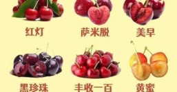 樱桃几月份  几月份的樱桃最好买