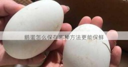 鹅蛋怎么保存哪种方法更能保鲜