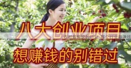 农村最稀缺的行业  哪个行业最赚钱