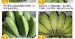 香蕉如何催熟用什么方法才能快速催熟