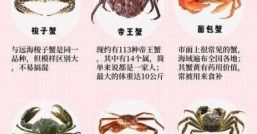 螃蟹季节究竟哪种最适合你