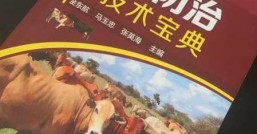 养牛知识与技术和防病的书，养牛知识与技术图片大全