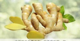 中国四大生姜之乡，你更爱吃哪一种