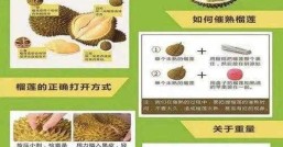 榴莲保存方法，哪种保存方法更靠谱