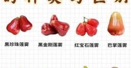 莲雾几月份成熟，什么时候最甜最好吃