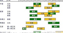 麦子一年收几次  小麦育种能做到一年三茬吗