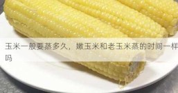 玉米一般要蒸多久，嫩玉米和老玉米蒸的时间一样吗