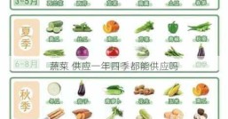 蔬菜 供应一年四季都能供应吗