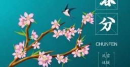 春季节气让你感到快乐