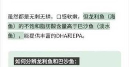 巴沙鱼多少钱一斤一斤才几块钱