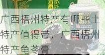 广西梧州特产有哪些土特产值得带，广西梧州特产龟苓膏