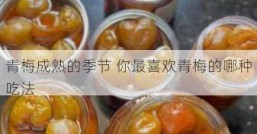 青梅成熟的季节 你最喜欢青梅的哪种吃法