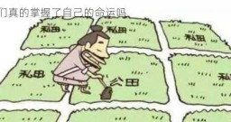自耕农他们真的掌握了自己的命运吗