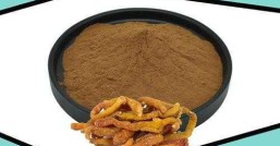 黄精产地哪个地方的黄精最具药用价值