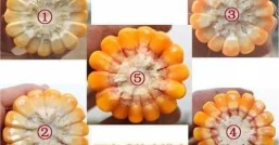 玉米什么季节成熟  不同地区成熟时间一样吗