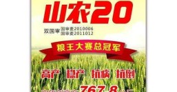 山农20  这真的吗