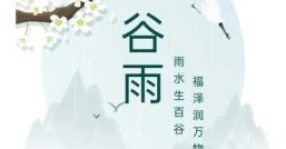 春季最后一个节气 春天真的结束了