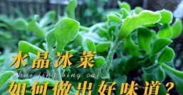 冰菜价格多少钱一斤水晶冰菜多少钱一斤