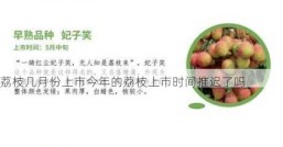 荔枝几月份上市今年的荔枝上市时间推迟了吗