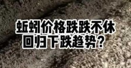 广地龙价格行情广地龙价格狂跌原因