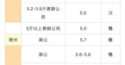 今日麻鸡价格  和前几天比怎么样