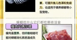 蝾螈吃什么它们都吃哪些活食