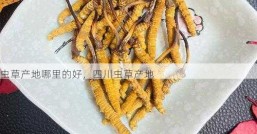 虫草产地哪里的好，四川虫草产地