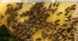 养蜂技术指导春繁，养蜂技术指导协议书