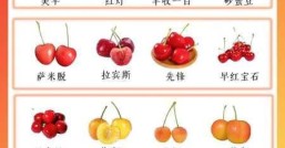 樱桃品种哪种最好产量高又好吃