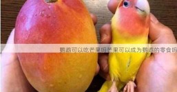鹦鹉可以吃芒果吗芒果可以成为鹦鹉的零食吗