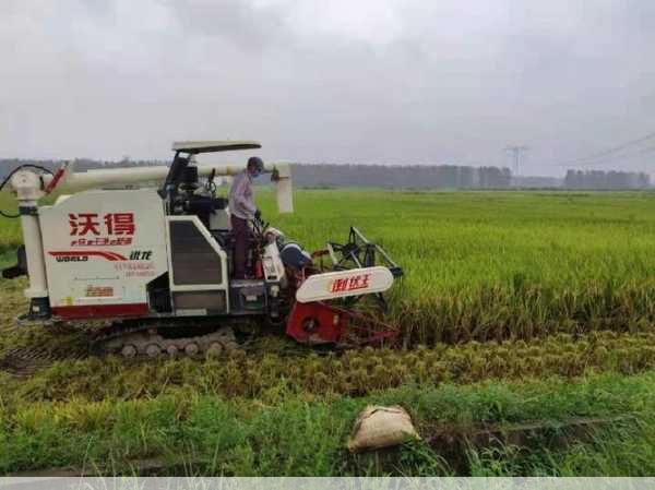 农机批发哪个平台更值得你信赖第1张-蔬菜基地绿色种植产业带 农机批发哪个平台更值得你信赖