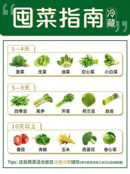 时令蔬菜批发如何保证新鲜度第1张-蔬菜基地绿色种植产业带 时令蔬菜批发如何保证新鲜度