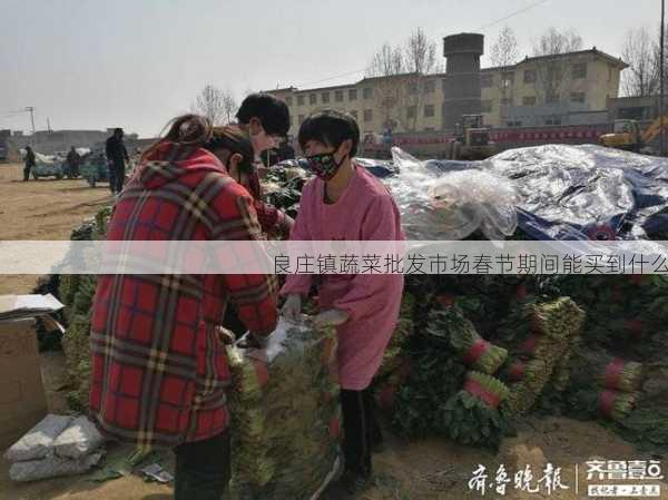 良庄镇蔬菜批发市场春节期间能买到什么第2张-蔬菜基地绿色种植产业带 良庄镇蔬菜批发市场春节期间能买到什么
