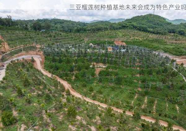 三亚榴莲树种植基地未来会成为特色产业吗第2张-蔬菜基地绿色种植产业带 三亚榴莲树种植基地未来会成为特色产业吗