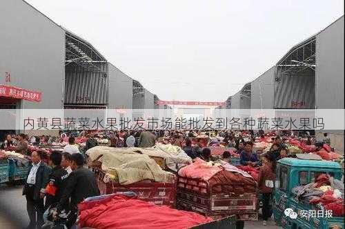 内黄县蔬菜水果批发市场能批发到各种蔬菜水果吗第1张-蔬菜基地绿色种植产业带 内黄县蔬菜水果批发市场能批发到各种蔬菜水果吗