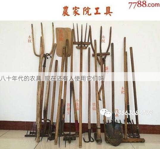 八十年代的农具 现在还有人使用它们吗第1张-蔬菜基地绿色种植产业带 八十年代的农具 现在还有人使用它们吗
