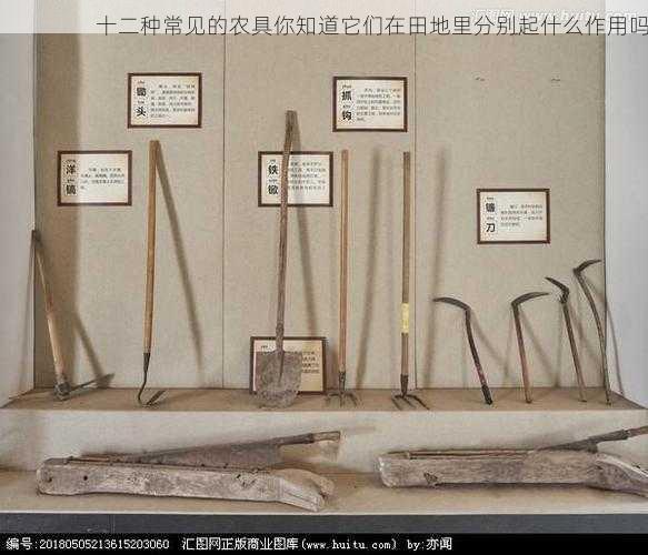 十二种常见的农具你知道它们在田地里分别起什么作用吗第2张-蔬菜基地绿色种植产业带 十二种常见的农具你知道它们在田地里分别起什么作用吗