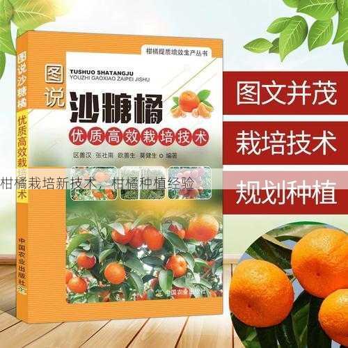 柑橘栽培新技术,柑橘种植经验第1张-蔬菜基地绿色种植产业带 柑橘栽培新技术,柑橘种植经验
