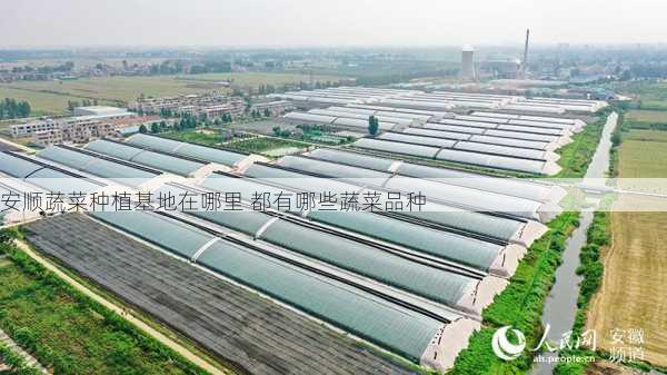 安顺蔬菜种植基地在哪里 都有哪些蔬菜品种第2张-蔬菜基地绿色种植产业带 安顺蔬菜种植基地在哪里 都有哪些蔬菜品种