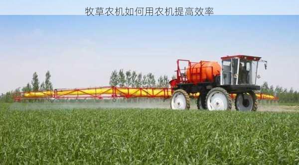 牧草农机如何用农机提高效率第2张-蔬菜基地绿色种植产业带