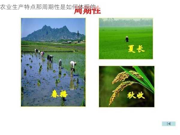 农业生产特点那周期性是如何体现的第1张-蔬菜基地绿色种植产业带 农业生产特点那周期性是如何体现的