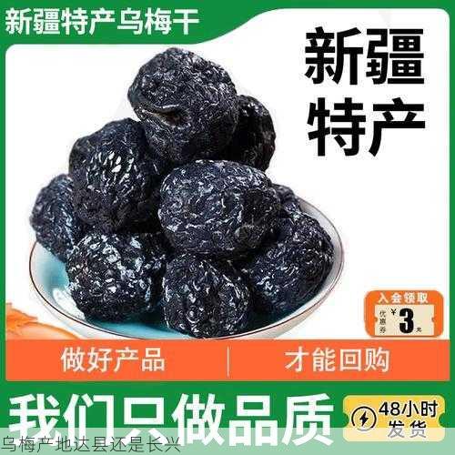 乌梅产地达县还是长兴第1张-蔬菜基地绿色种植产业带 乌梅产地达县还是长兴