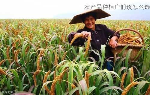 农产品种植户们该怎么选第2张-蔬菜基地绿色种植产业带 农产品种植户们该怎么选