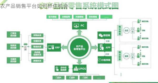 农产品销售平台如何抓住机会第1张-蔬菜基地绿色种植产业带