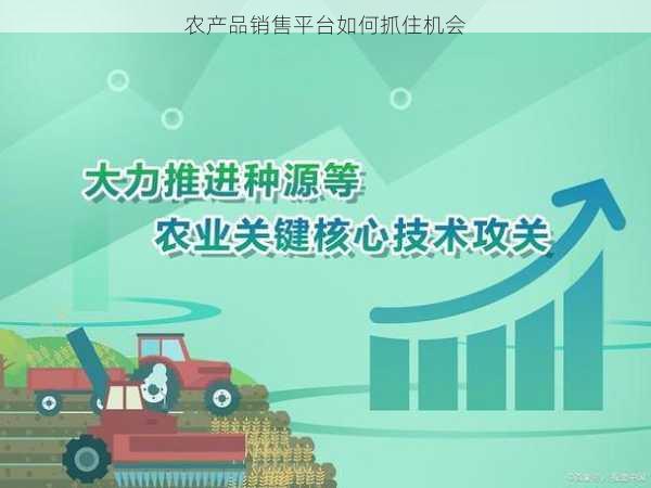 农产品销售平台如何抓住机会第2张-蔬菜基地绿色种植产业带