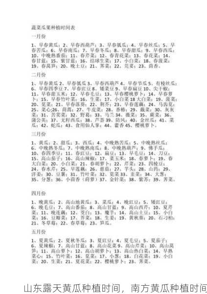 山东露天黄瓜种植时间,南方黄瓜种植时间第1张-蔬菜基地绿色种植产业带 山东露天黄瓜种植时间,南方黄瓜种植时间