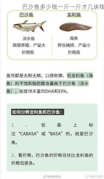 巴沙鱼多少钱一斤一斤才几块钱第1张-蔬菜基地绿色种植产业带 巴沙鱼多少钱一斤一斤才几块钱