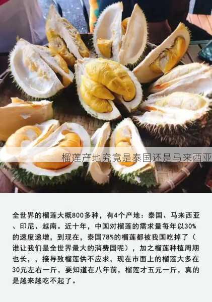 榴莲产地究竟是泰国还是马来西亚第2张-蔬菜基地绿色种植产业带 榴莲产地究竟是泰国还是马来西亚