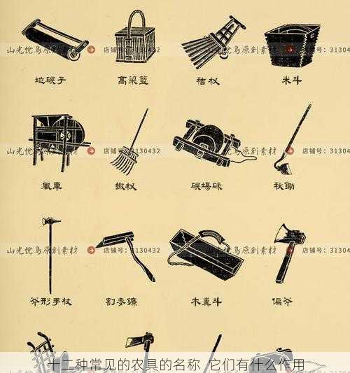 十二种常见的农具的名称 它们有什么作用第2张-蔬菜基地绿色种植产业带 十二种常见的农具的名称 它们有什么作用