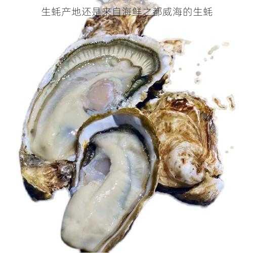 生蚝产地还是来自海鲜之都威海的生蚝第1张-蔬菜基地绿色种植产业带 生蚝产地还是来自海鲜之都威海的生蚝